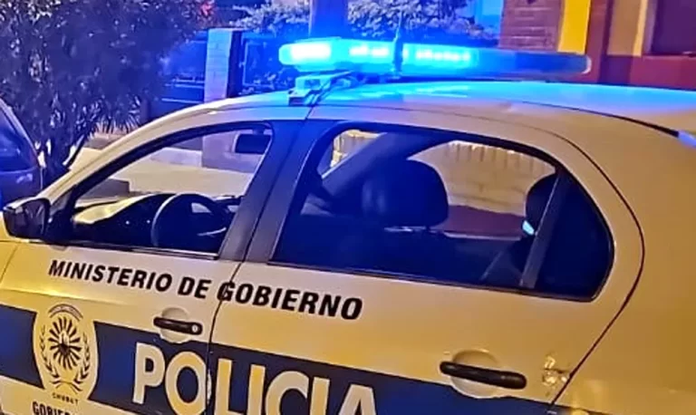 Persiguió a un ladrón para recuperar sus pertenencias y terminaron a los golpes