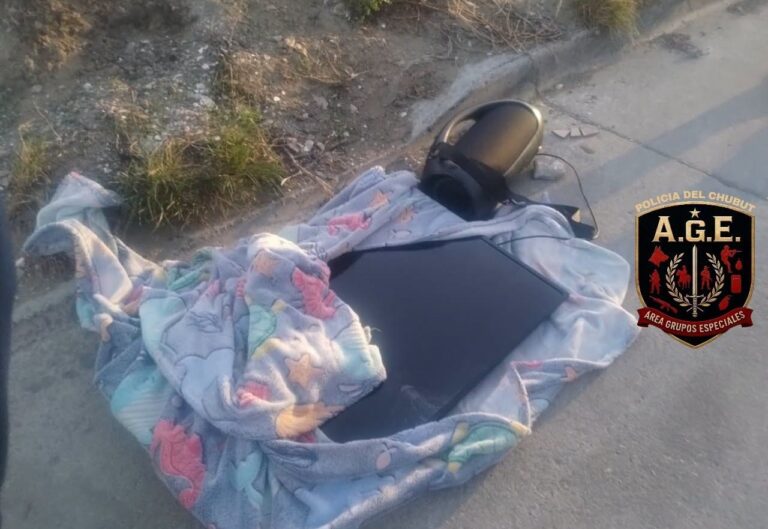 Comodoro: una mujer persiguió y redujo a un ladrón que le había robado el televisor