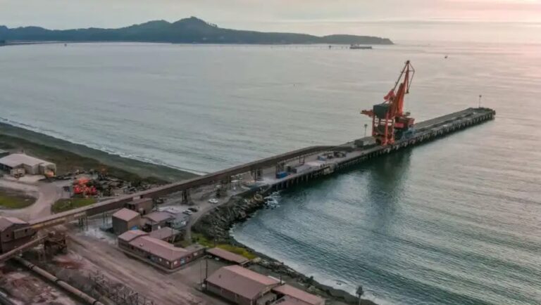 Chile quiere vender la energía de Vaca Muerta en Asia y apuesta a los puertos del Biobío