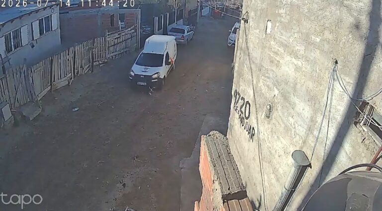 Indignación en la ciudad: un repartidor atropelló a una perra anciana y huyó sin asistir a la familia