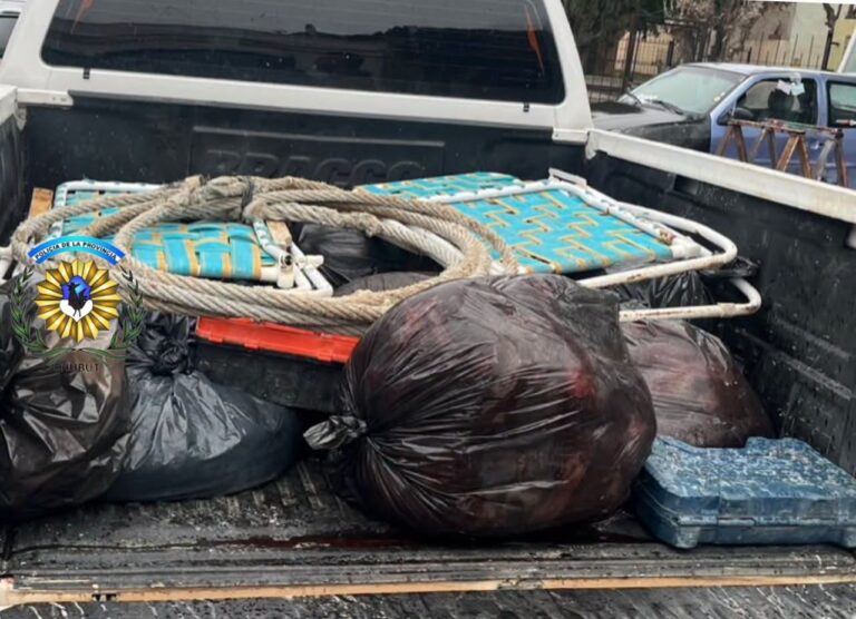 Secuestro de carne ilegal: decomisan un numeroso cargamento de faena de guanaco en un control de ruta en Dolavón